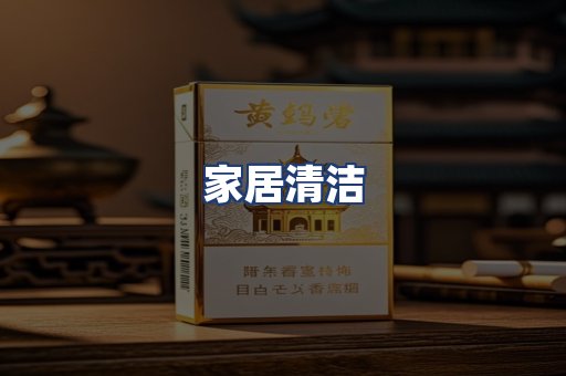 家居清洁
